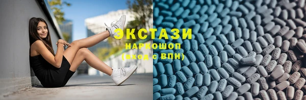 гидра Богородск