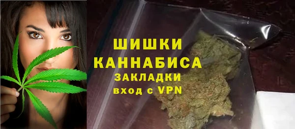 гидра Богородск
