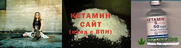 гидра Богородск