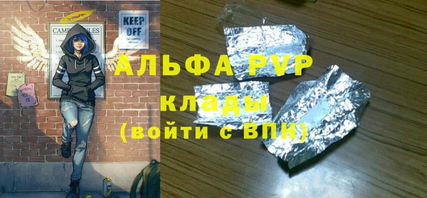 гидра Богородск