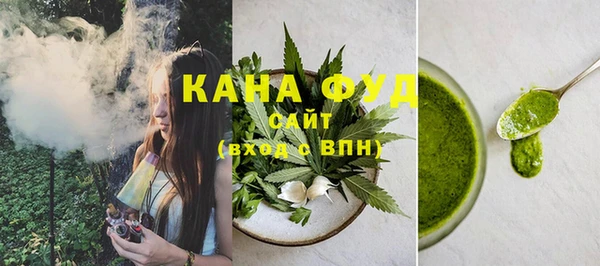 гидра Богородск