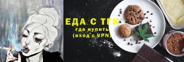 гидра Богородск