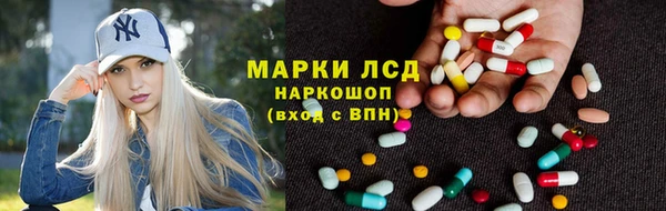 гидра Богородск