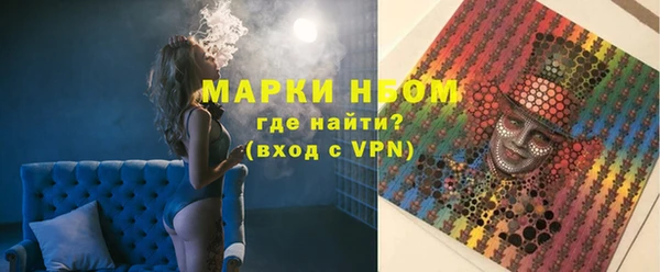 гидра Богородск